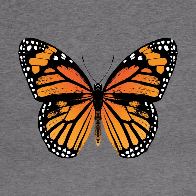 Monarch Butterfly by Eclectic At Heart